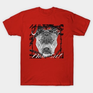 Pittbull T-Shirt